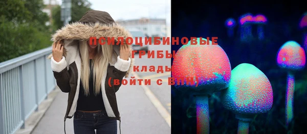 spice Аркадак