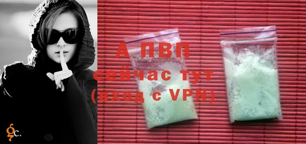 spice Аркадак