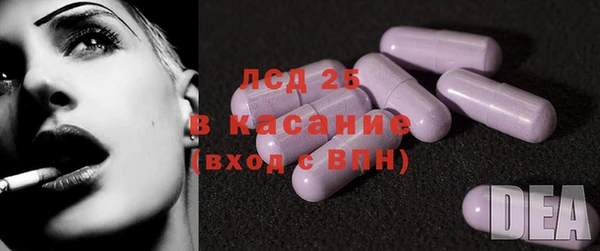 spice Аркадак